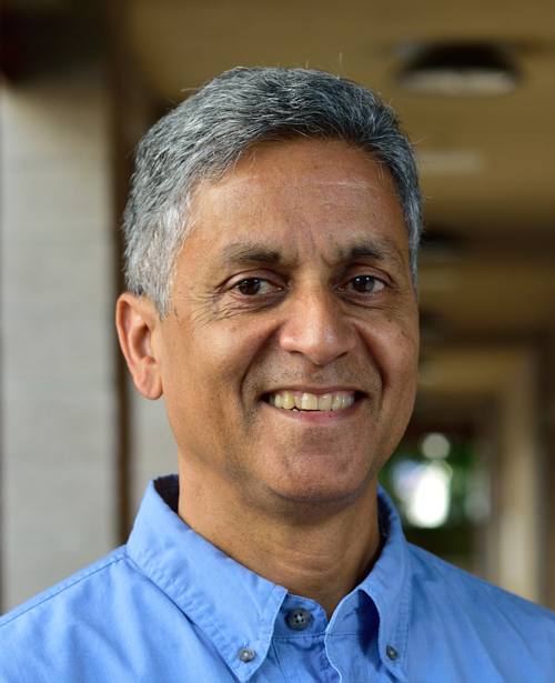 Nikil Dutt headshot
