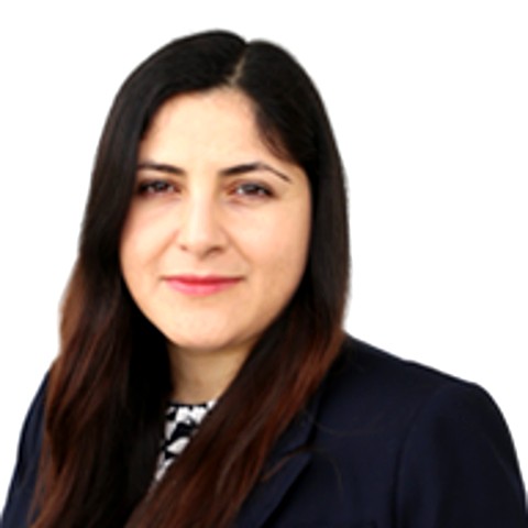 Solmaz S. Kia